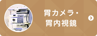 胃カメラ・胃内視鏡